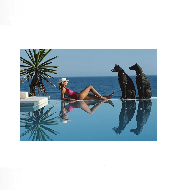 Retro Poolside Host Luxury Lif - Luxury Lifestyle Us review and price